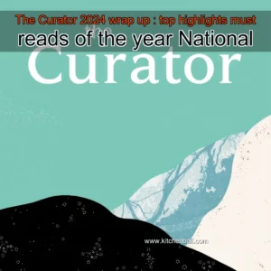 Artistic representation for The Curator 2024 wrap up : top highlights must reads of the year National